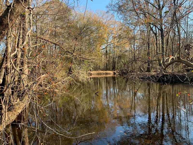 Advance Land and Timber Land for sale property_imgs/f91e24dfe80012e2a7984afa4480a6d6_1891.jpg