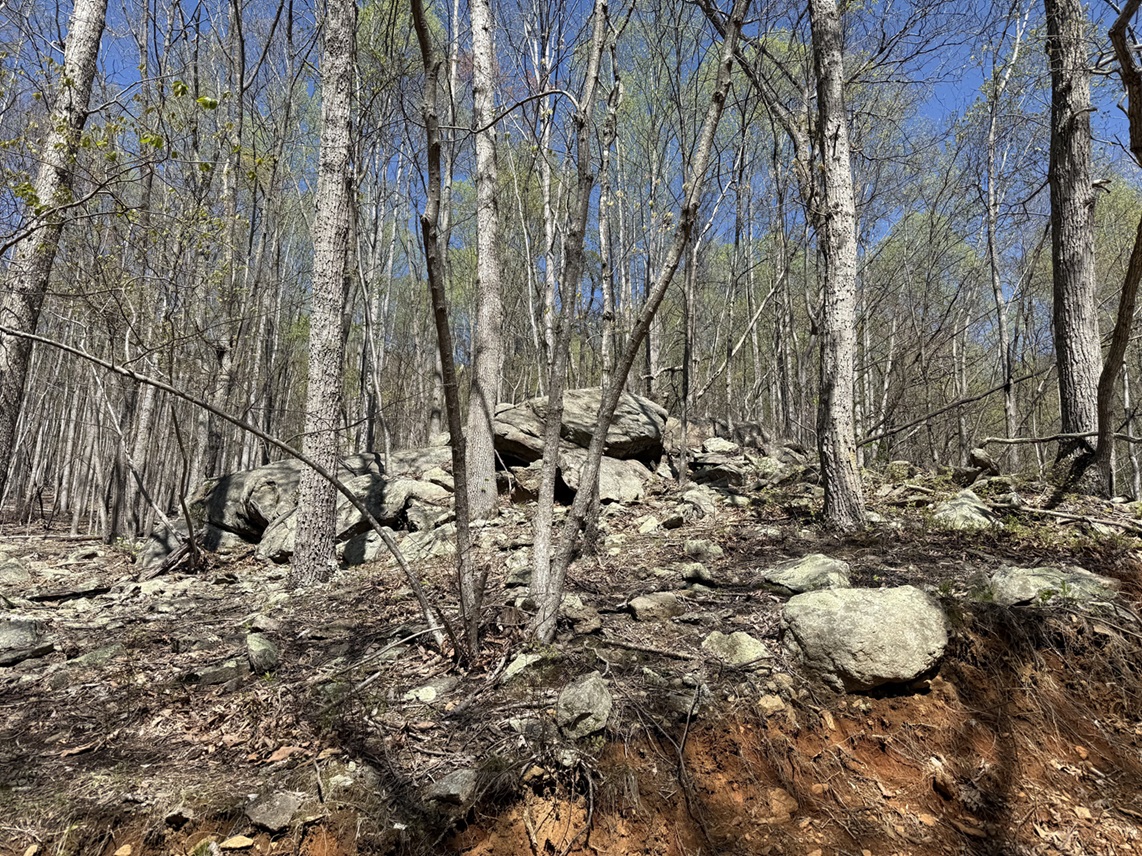 Advance Land and Timber Land for sale property_imgs/f9fd2624beefbc7808e4e405d73f57ab_2251.jpeg