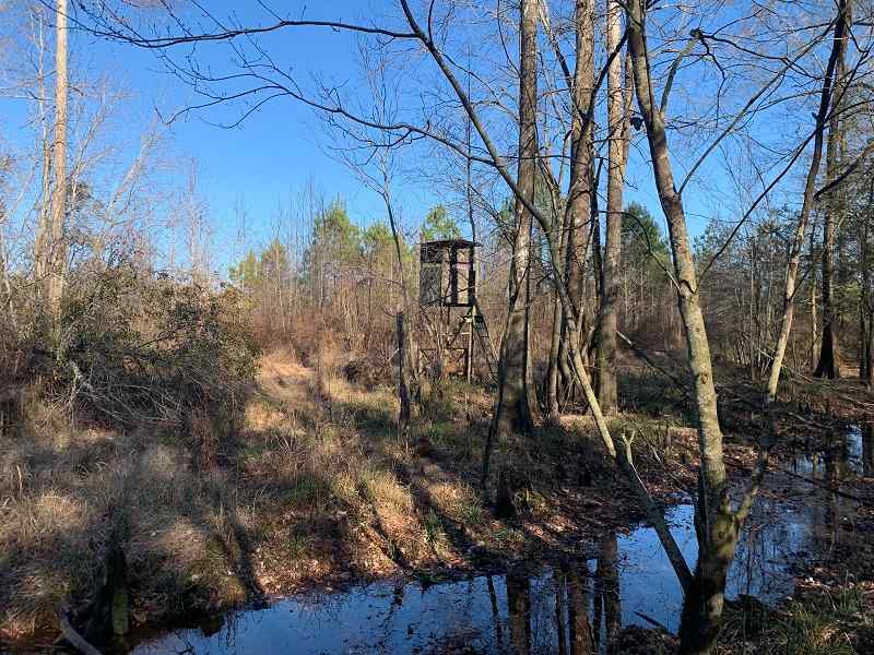 Advance Land and Timber Land for sale property_imgs/faafda66202d234463057972460c04f5_1891.jpg