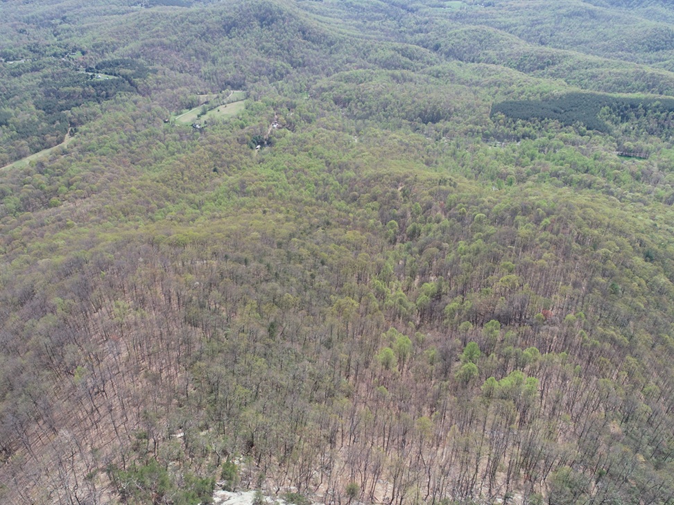 Advance Land and Timber Land for sale property_imgs/fb87582825f9d28a8d42c5e5e5e8b23d_2251.jpg