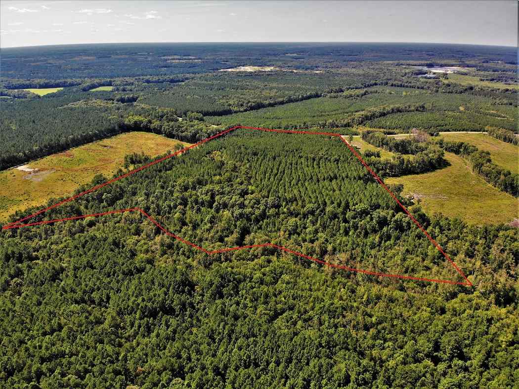 Advance Land and Timber Land for sale property_imgs/fb8e51c5c713f2aaf71f62e03c5298db_1853.jpg