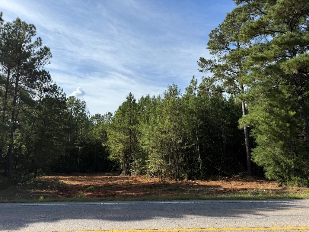 Newberry County South Carolina Land for Sale