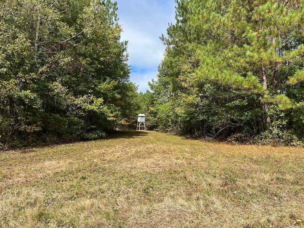 Advance Land and Timber Land for sale property_imgs/fc528592c3858f90196fbfacc814f235.jpg