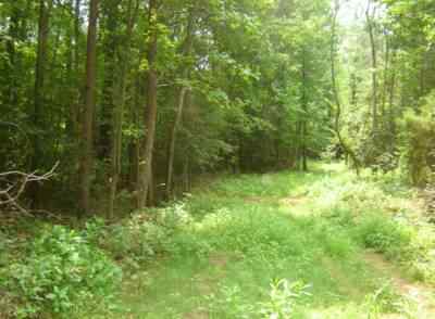 Advance Land and Timber Land for sale property_imgs/h1_2.jpg