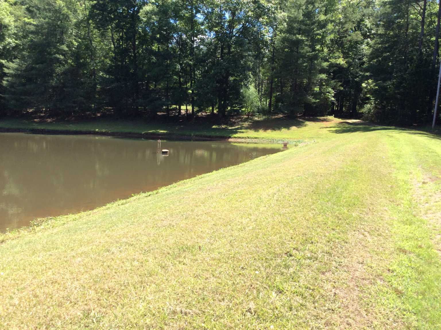 Advance Land and Timber Land for sale property_imgs/img_11.jpg