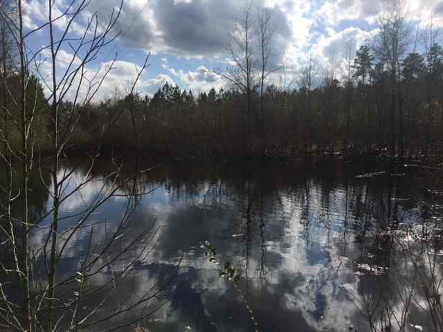 Saluda County South Carolina Land for Sale