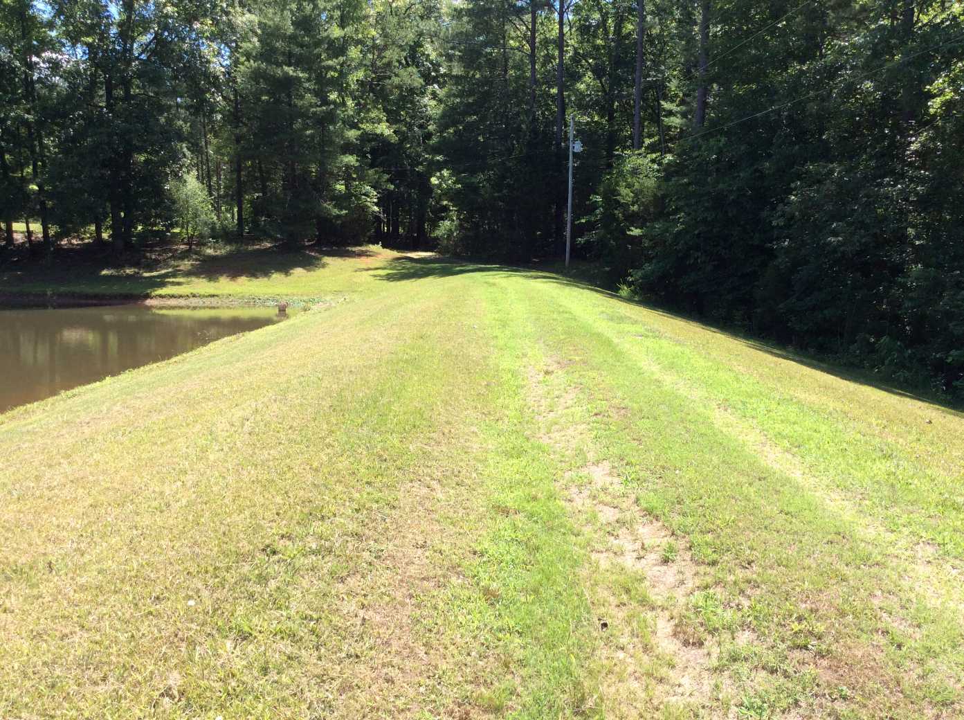 Advance Land and Timber Land for sale property_imgs/img_12.jpg