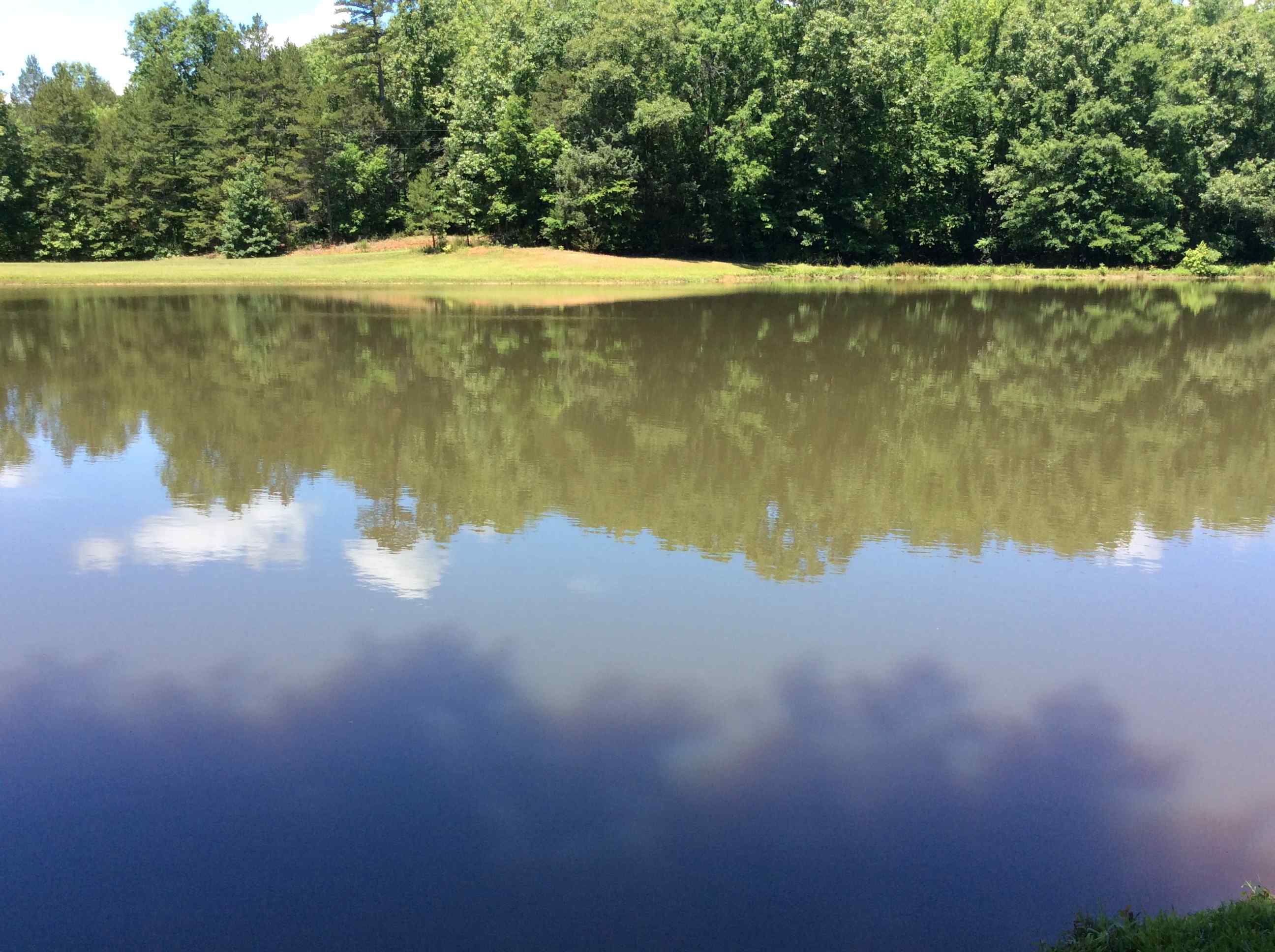 Advance Land and Timber Land for sale property_imgs/img_126.jpg