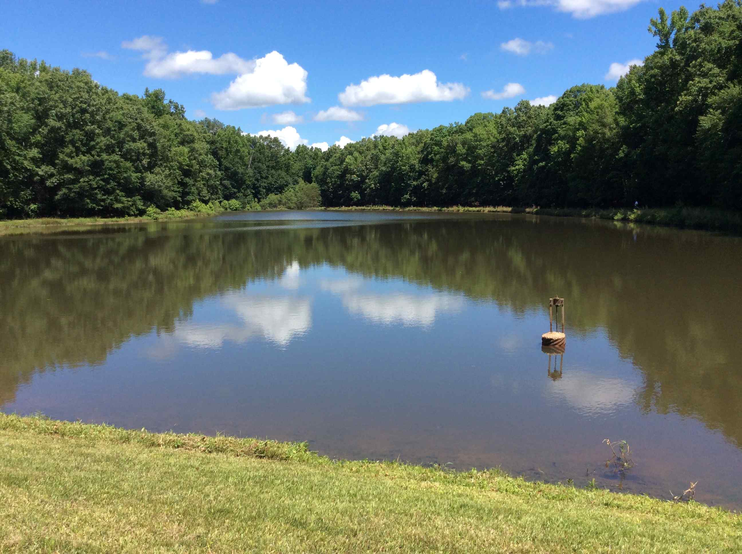 Advance Land and Timber Land for sale property_imgs/img_13.jpg