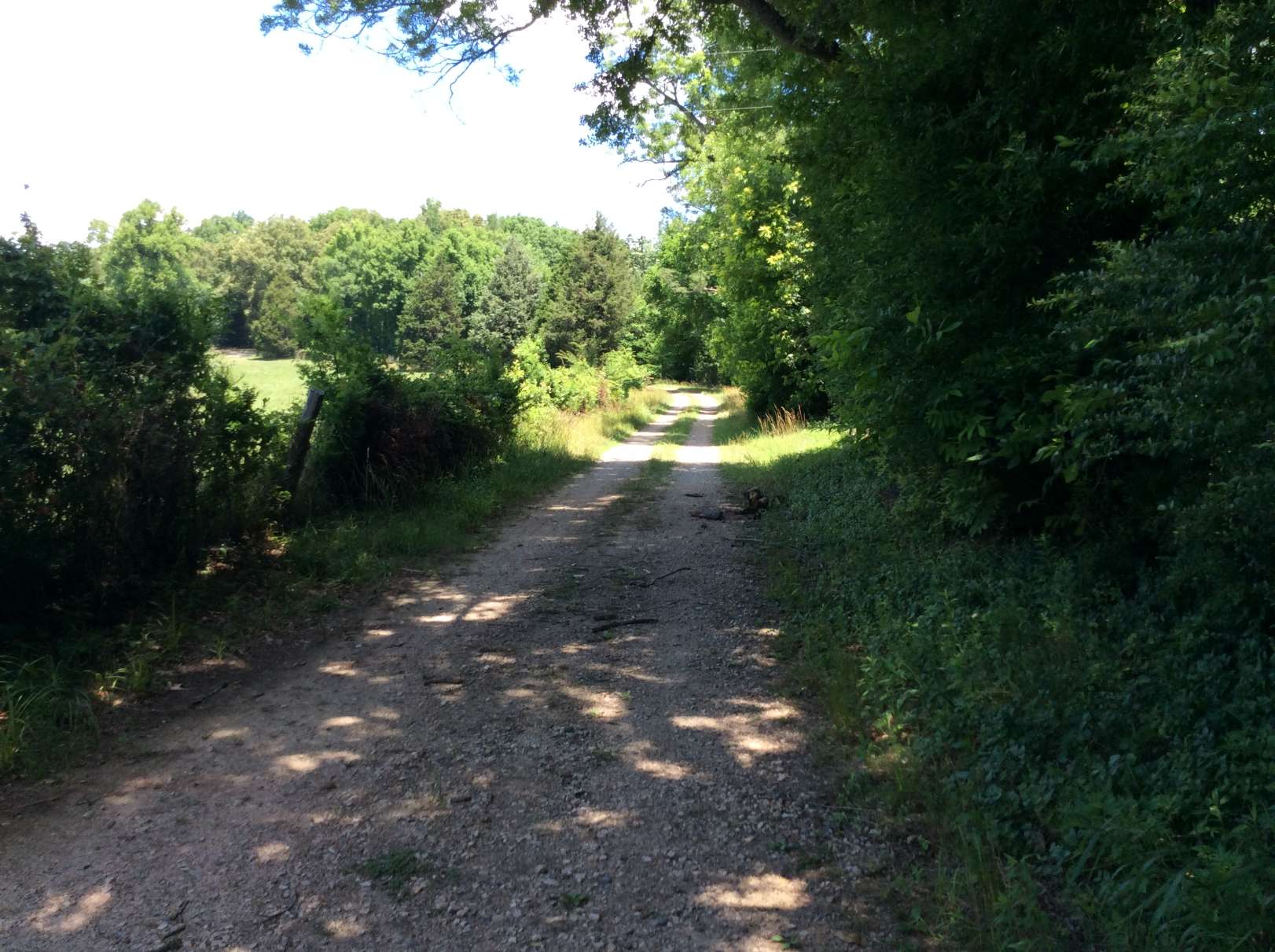 Advance Land and Timber Land for sale property_imgs/img_146.jpg