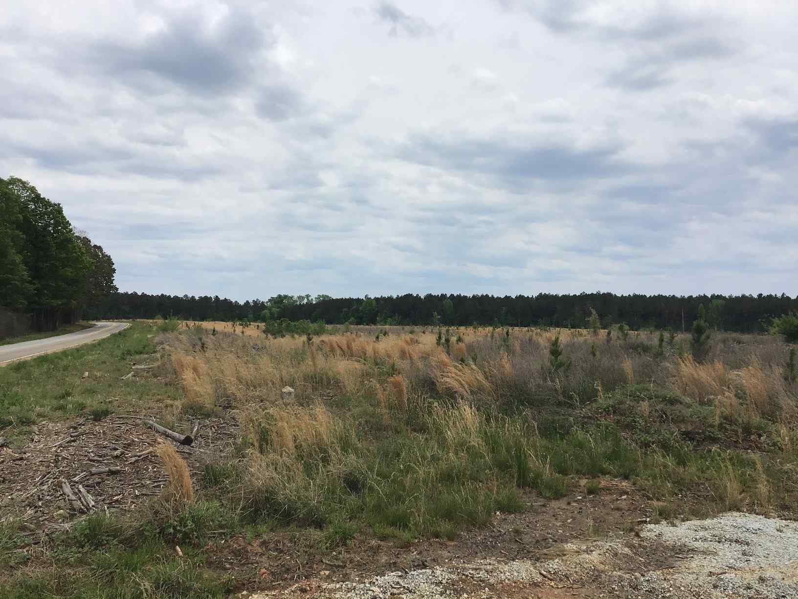 Advance Land and Timber Land for sale property_imgs/img_1464.jpg