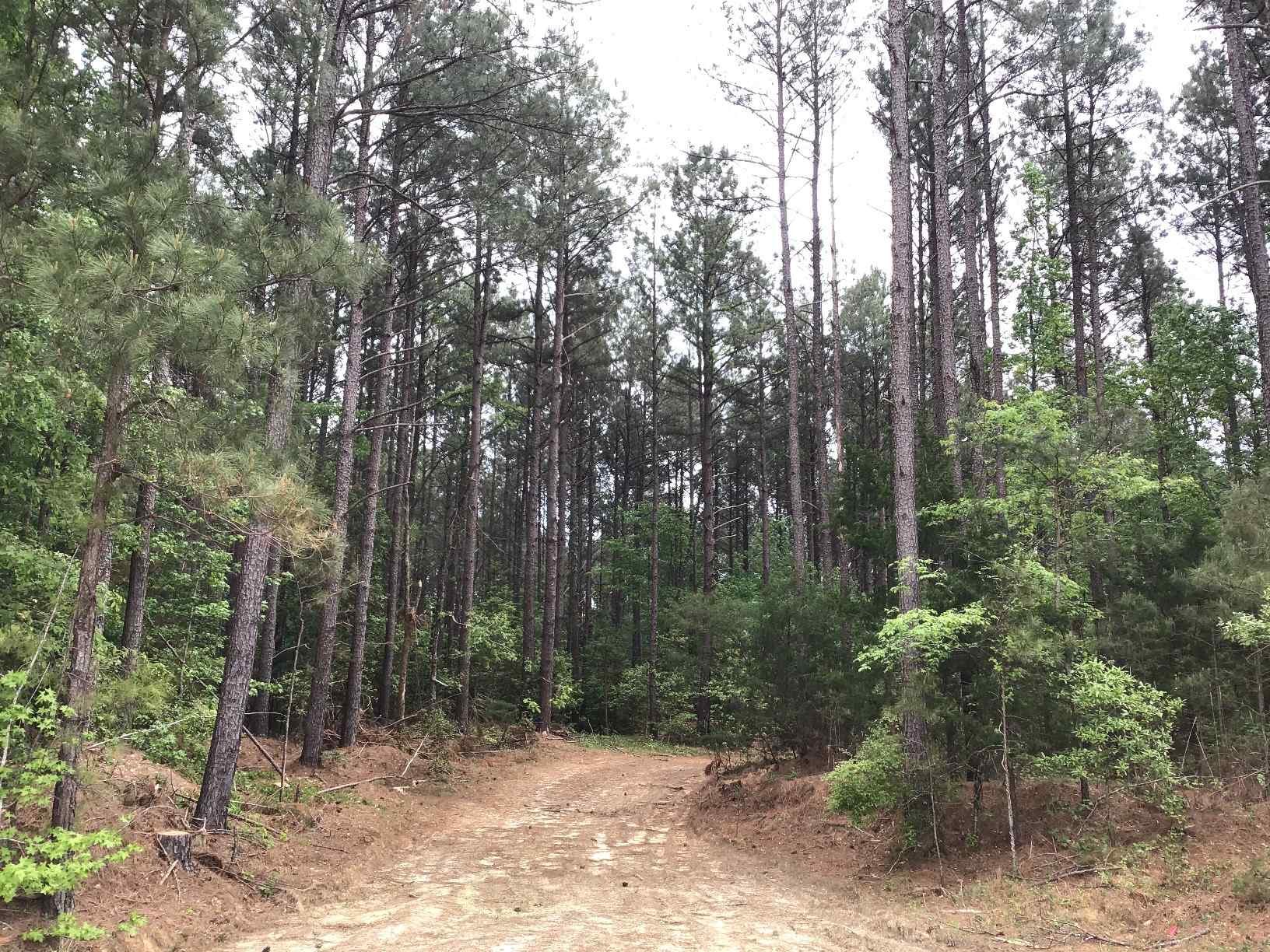 Advance Land and Timber Land for sale property_imgs/img_1465~1.jpg