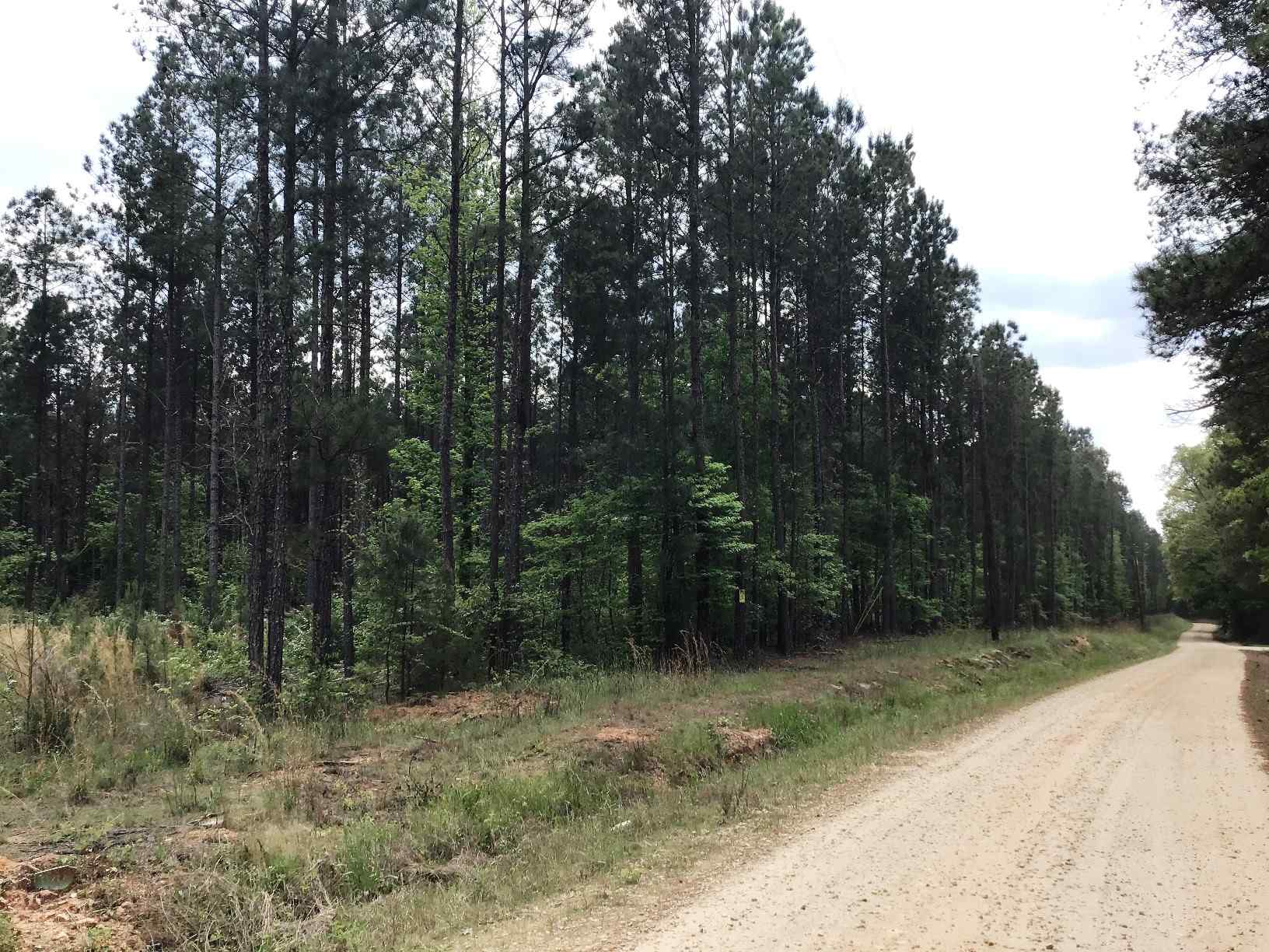 Advance Land and Timber Land for sale property_imgs/img_1477~1.jpg
