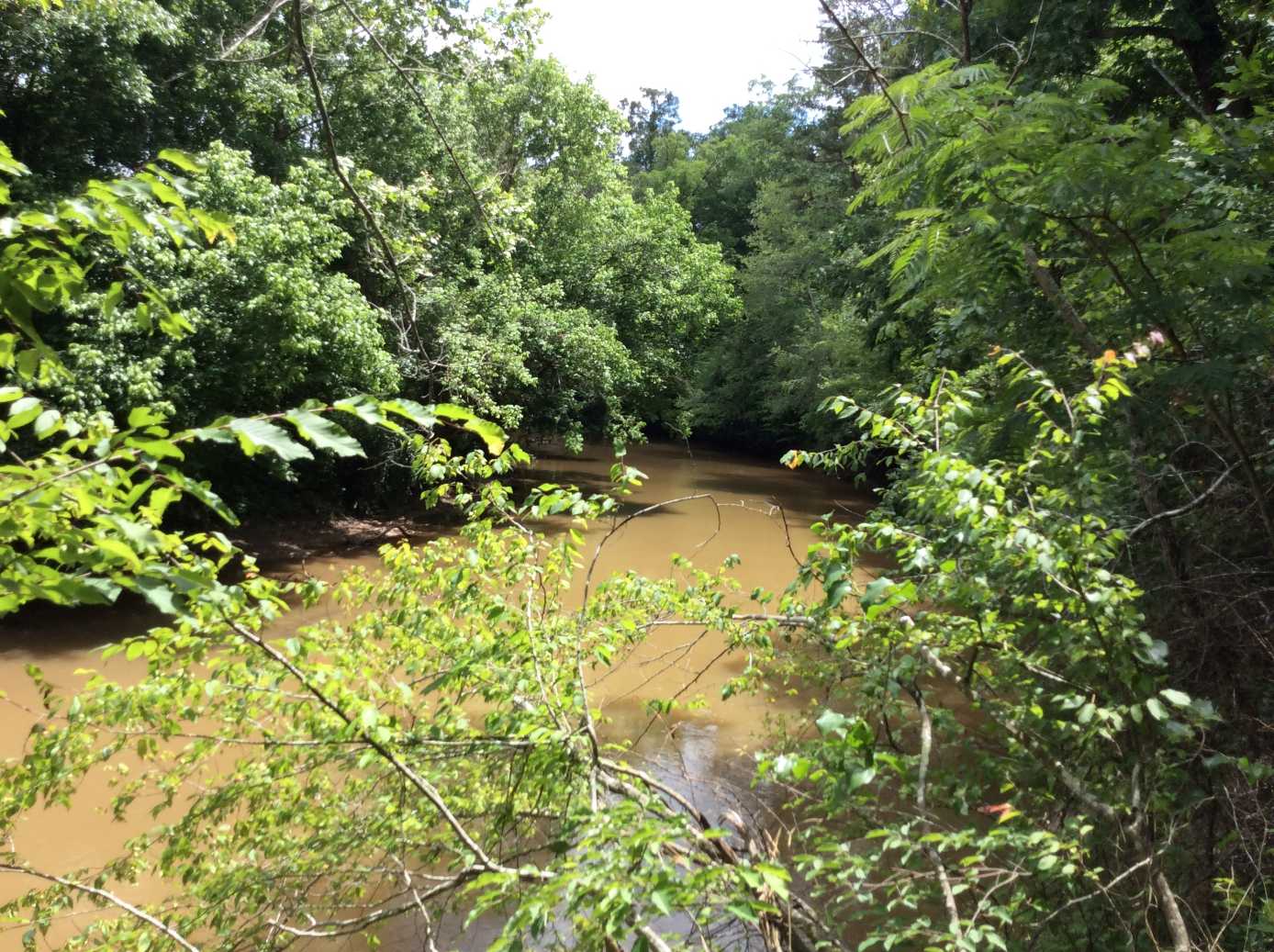 Advance Land and Timber Land for sale property_imgs/img_156~0.jpg