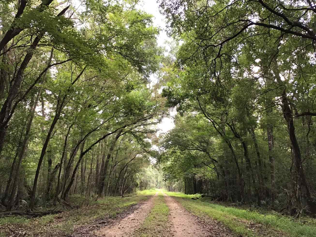 Advance Land and Timber Land for sale property_imgs/img_1623.jpg