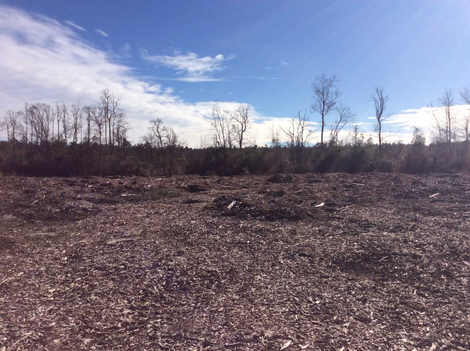 Horry County South Carolina Land for Sale