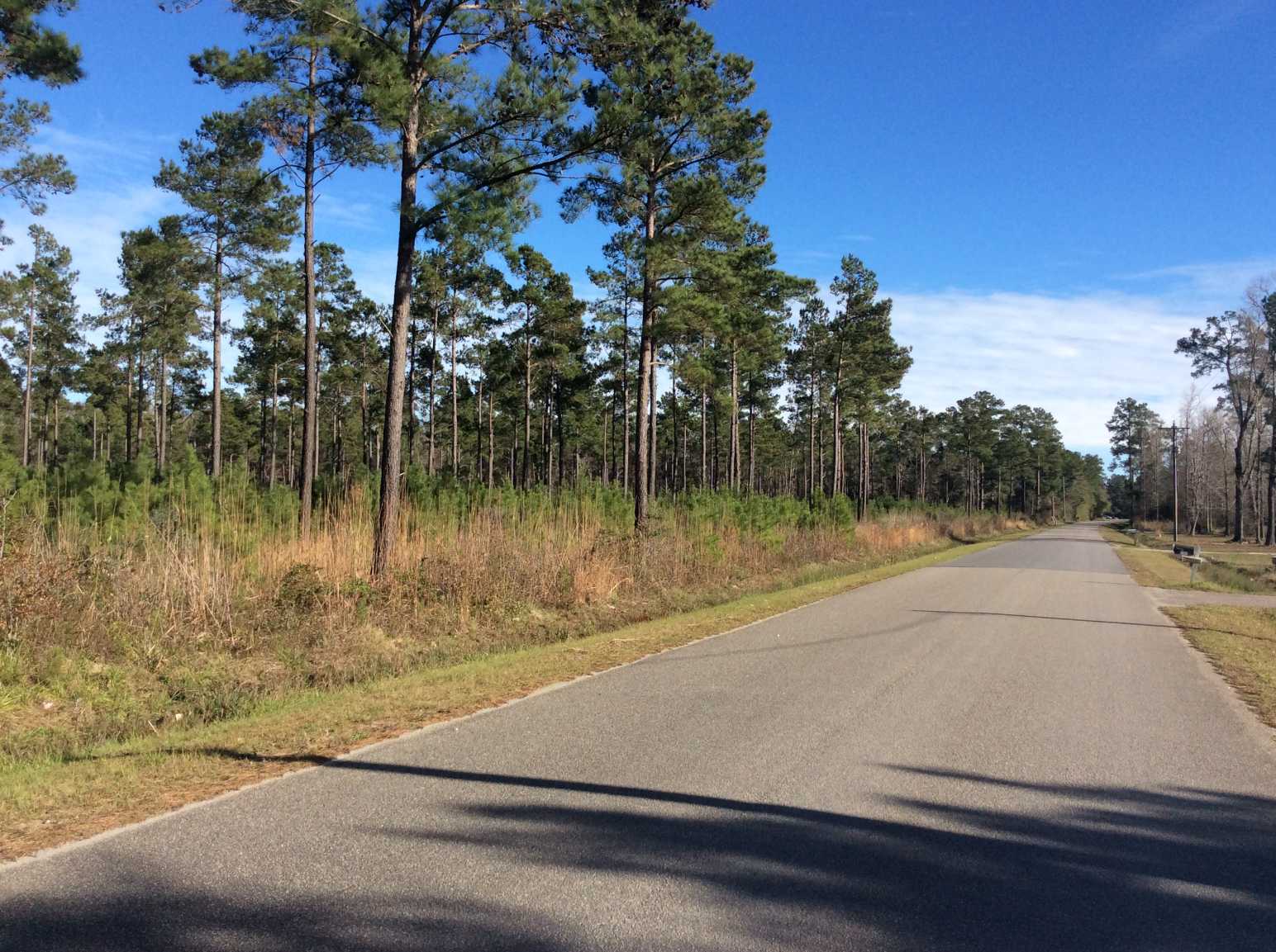 Horry County South Carolina Land for Sale