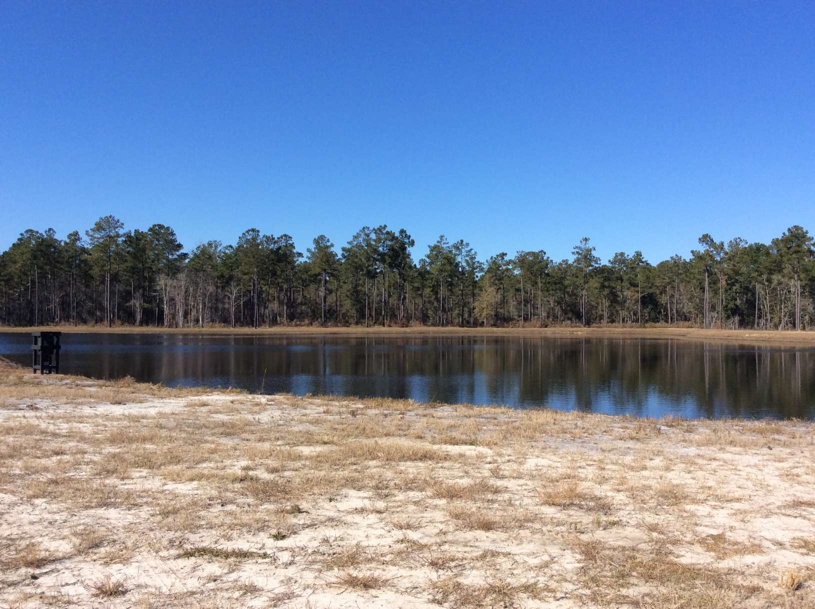 Horry County South Carolina Land for Sale