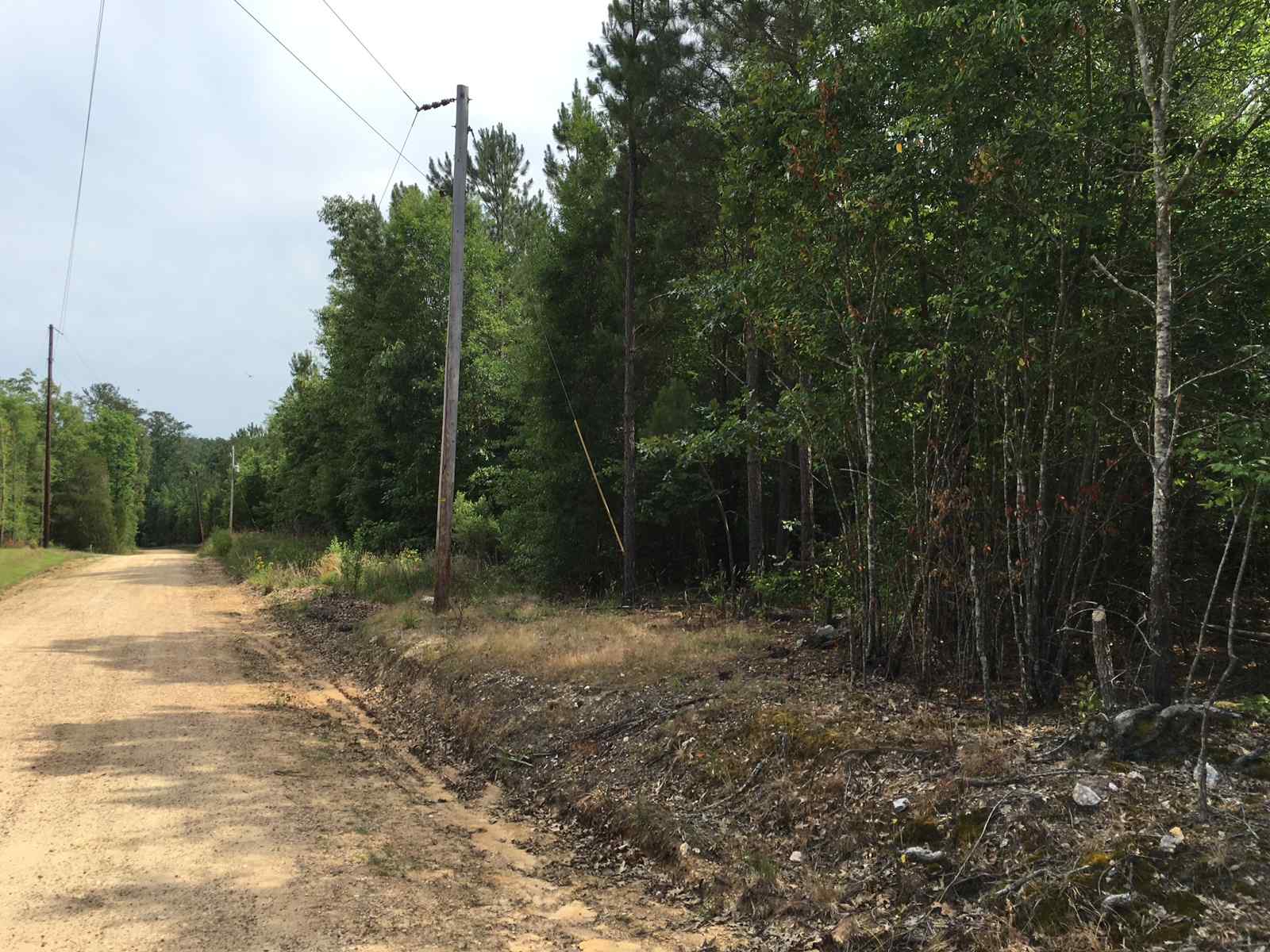 Advance Land and Timber Land for sale property_imgs/img_2364.jpg