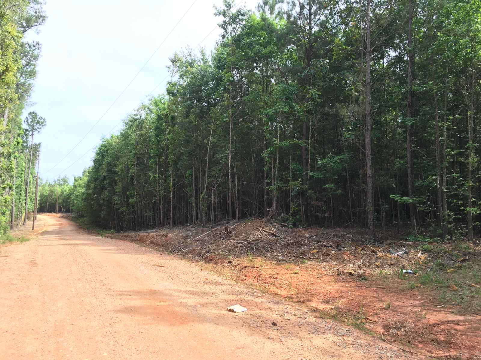 Advance Land and Timber Land for sale property_imgs/img_2369.jpg