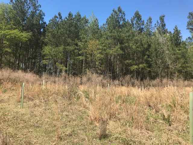 Laurens County South Carolina Land for Sale