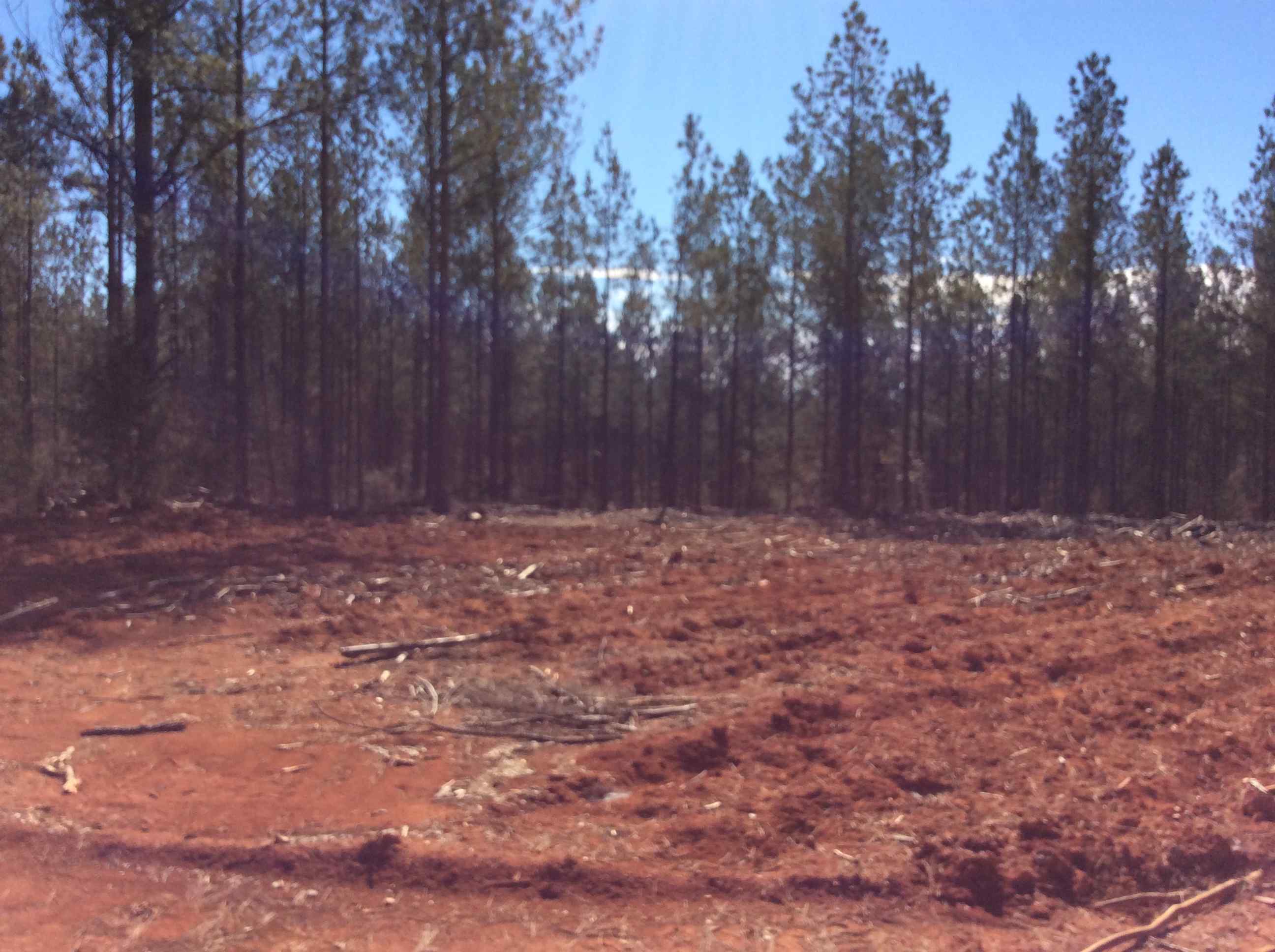 Greenwood County South Carolina Land for Sale
