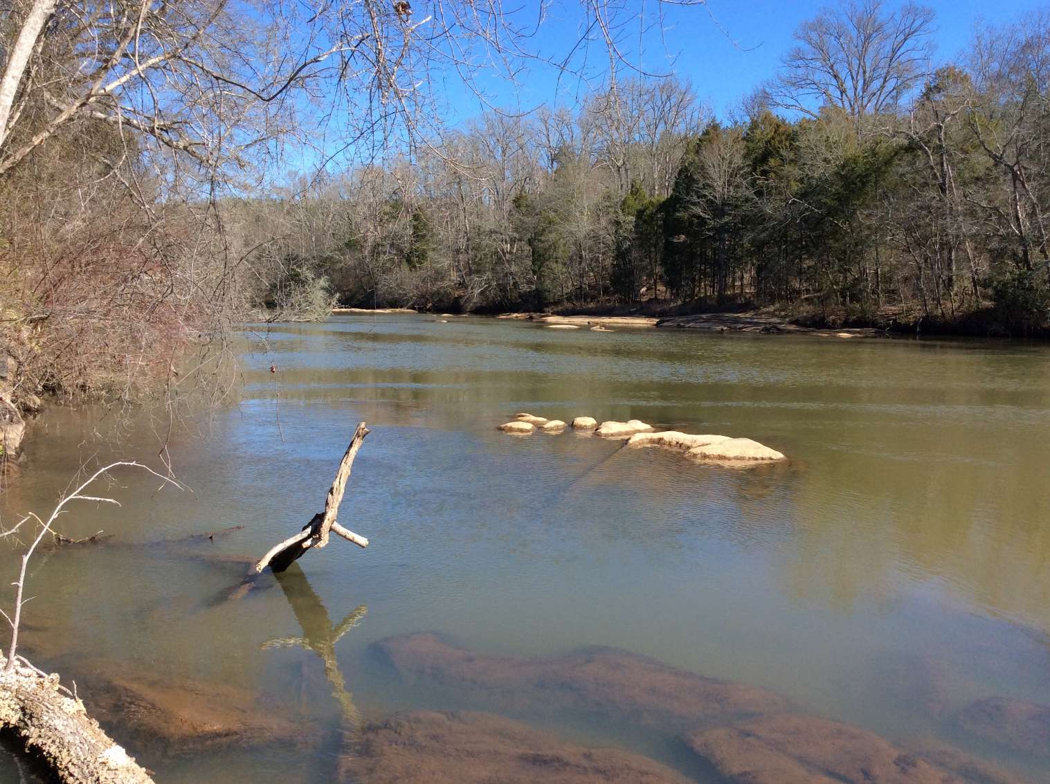 Advance Land and Timber Land for sale property_imgs/img_2877.jpg