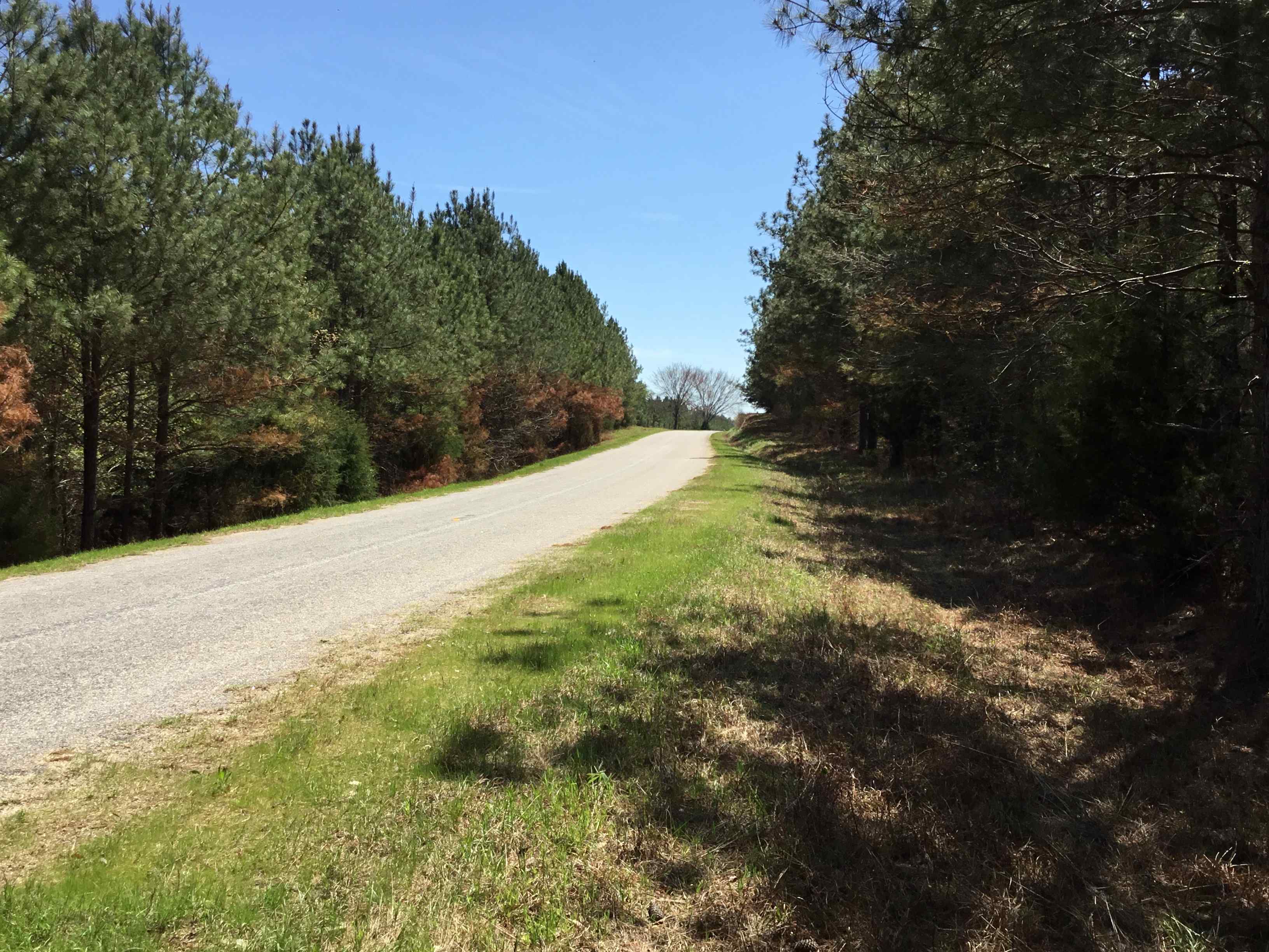 Advance Land and Timber Land for sale property_imgs/img_33.jpg