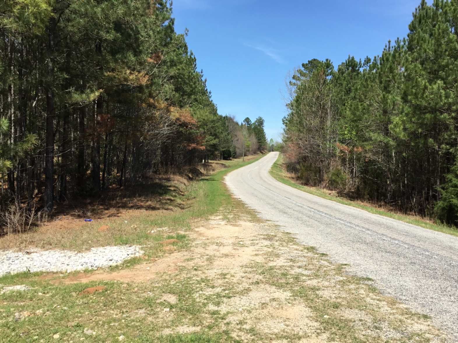 Advance Land and Timber Land for sale property_imgs/img_34.jpg