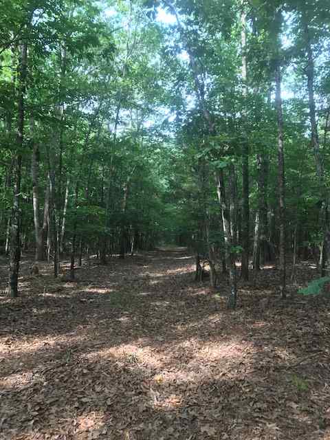 Advance Land and Timber Land for sale property_imgs/img_352~0.jpg