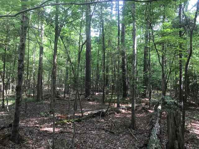 Advance Land and Timber Land for sale property_imgs/img_353.jpg