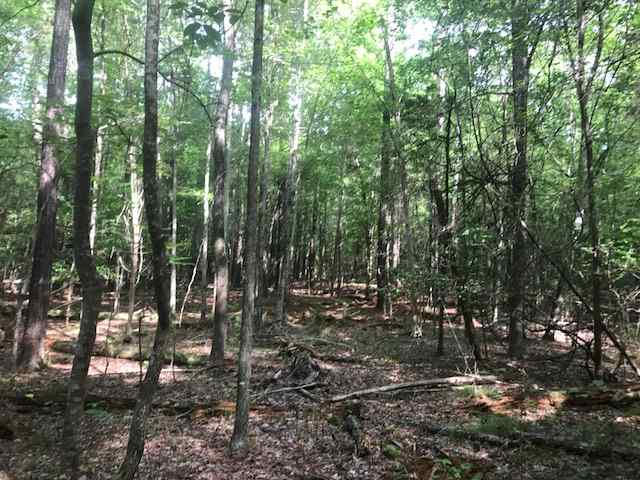 Advance Land and Timber Land for sale property_imgs/img_354~0.jpg