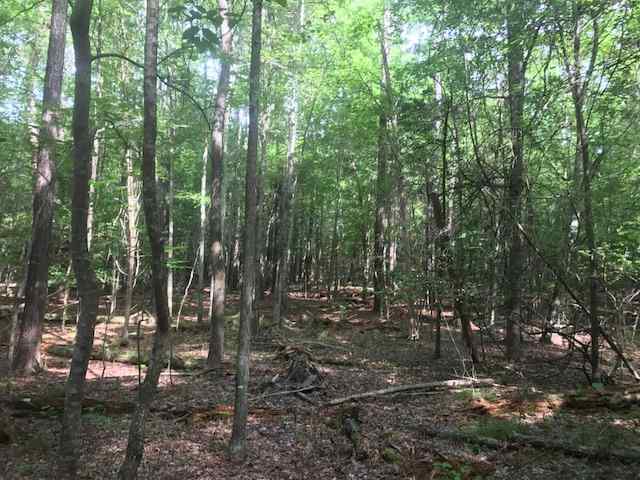 Advance Land and Timber Land for sale property_imgs/img_355~0.jpg