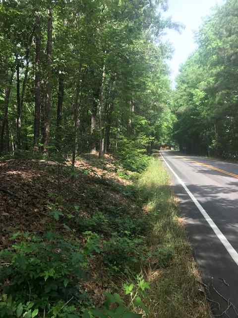 Advance Land and Timber Land for sale property_imgs/img_358~0.jpg