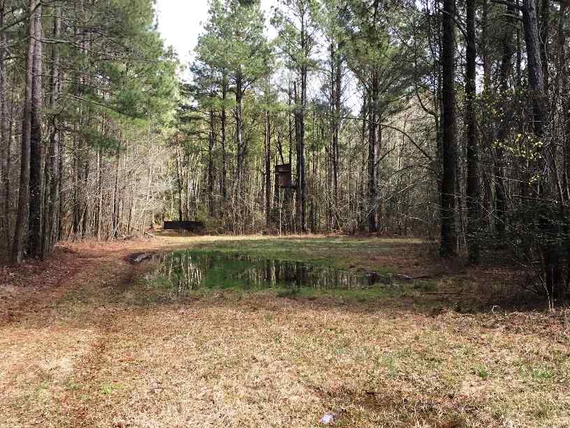 Advance Land and Timber Land for sale property_imgs/img_362~0.jpg