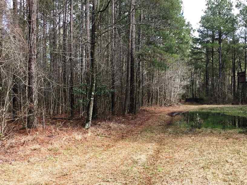 Advance Land and Timber Land for sale property_imgs/img_363~0.jpg