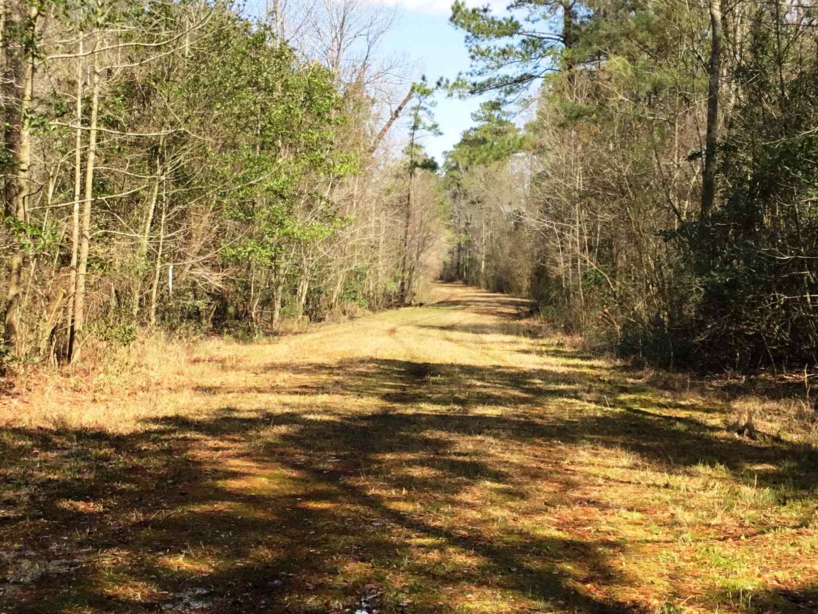 Advance Land and Timber Land for sale property_imgs/img_365~0.jpg