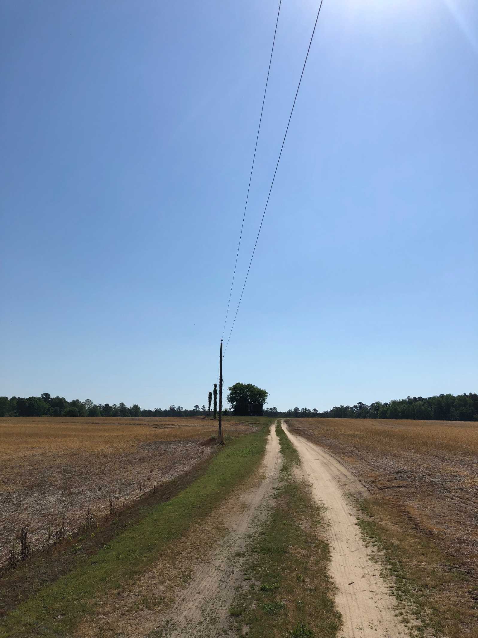 Advance Land and Timber Land for sale property_imgs/img_433.jpg