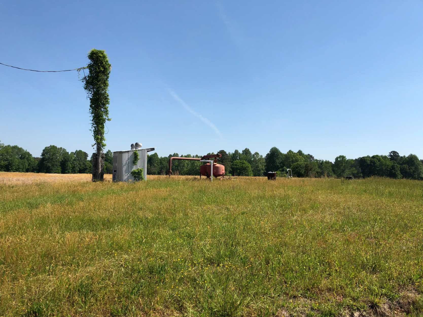 Advance Land and Timber Land for sale property_imgs/img_435.jpg