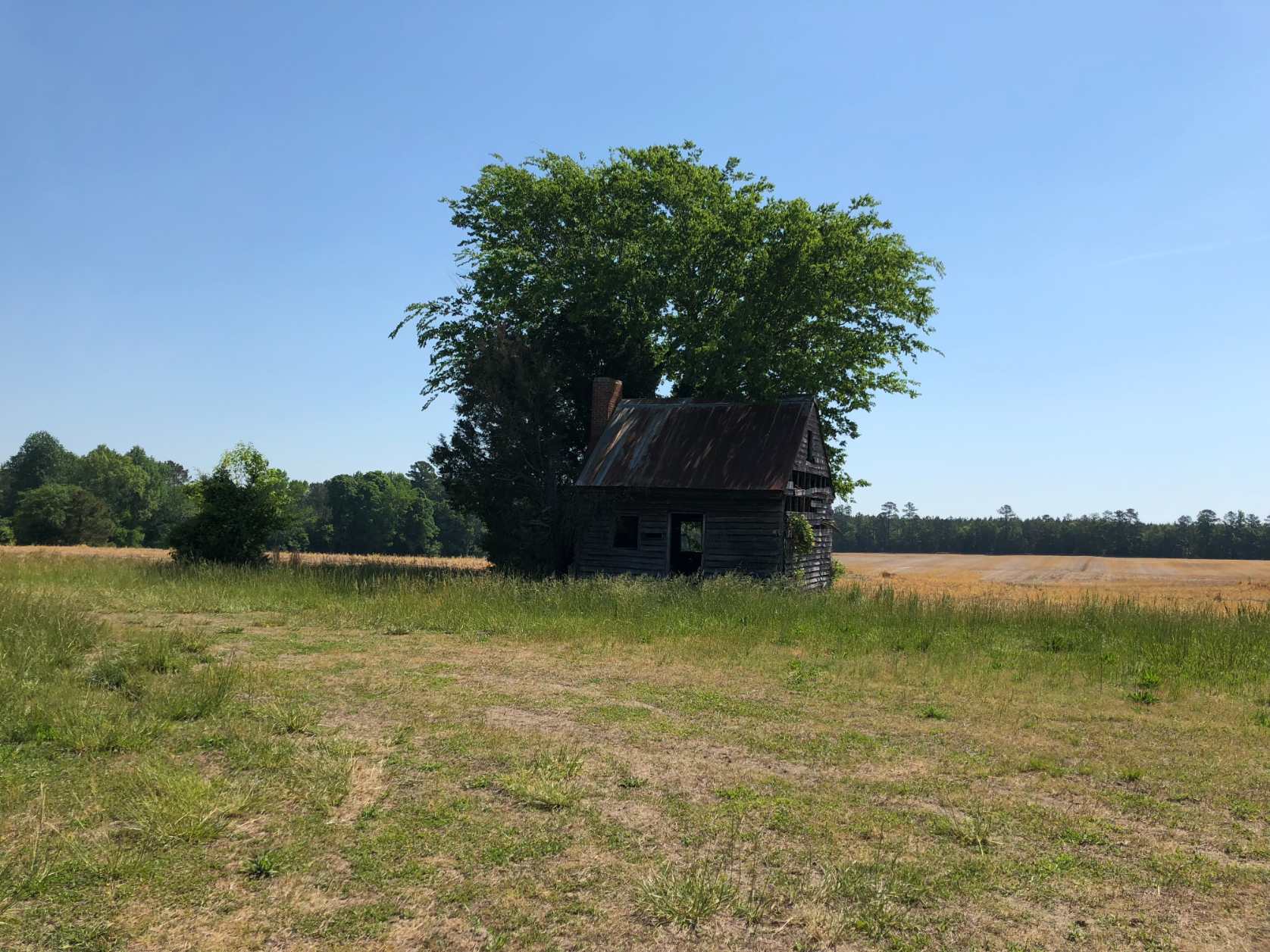 Advance Land and Timber Land for sale property_imgs/img_437.jpg