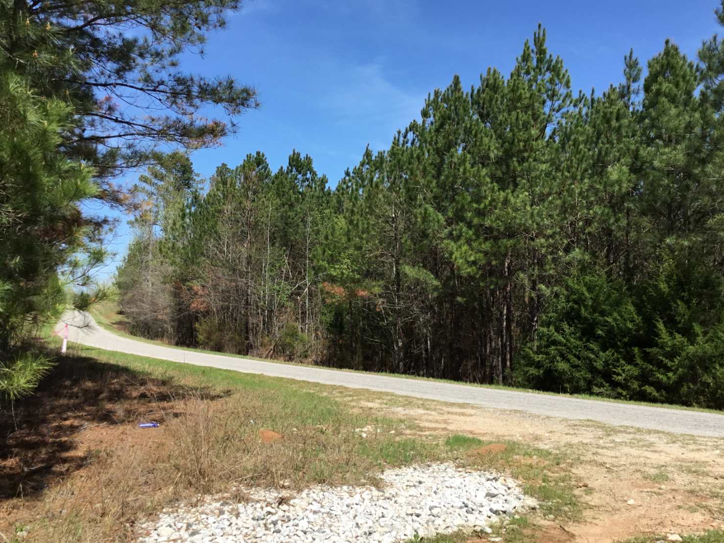 Advance Land and Timber Land for sale property_imgs/img_44.jpg