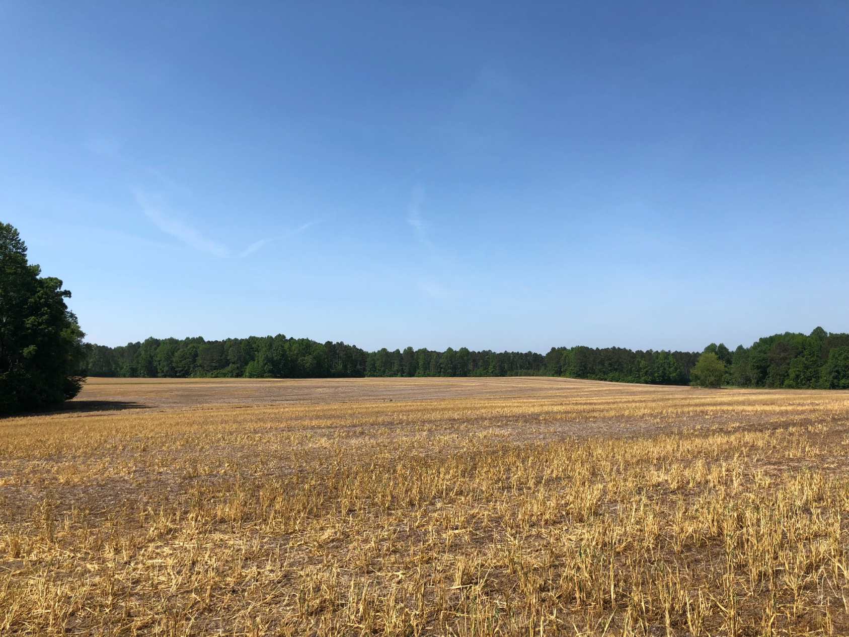 Advance Land and Timber Land for sale property_imgs/img_441.jpg