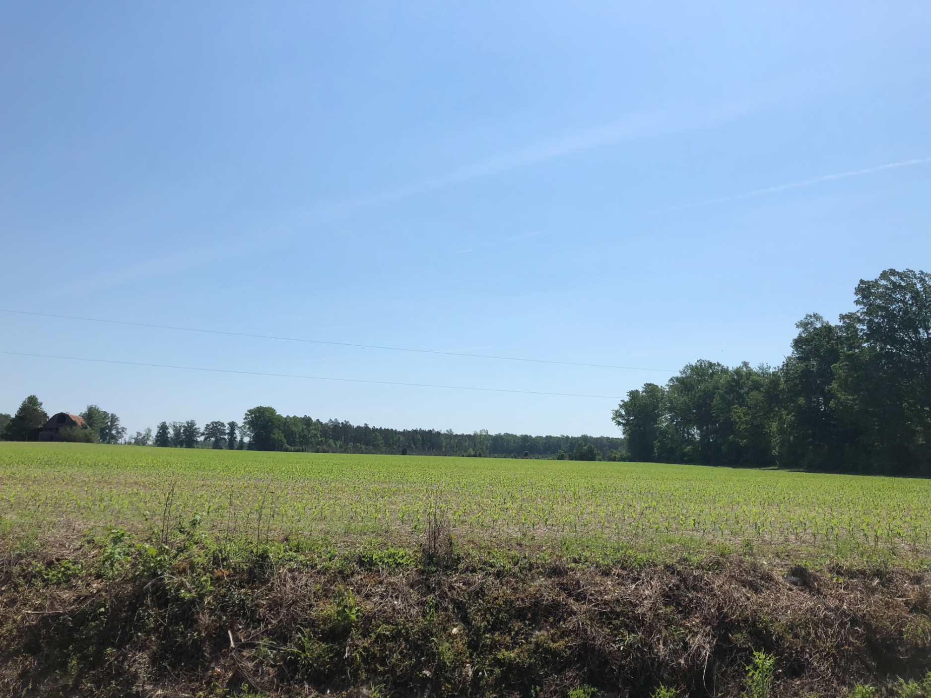 Advance Land and Timber Land for sale property_imgs/img_456~0.jpg