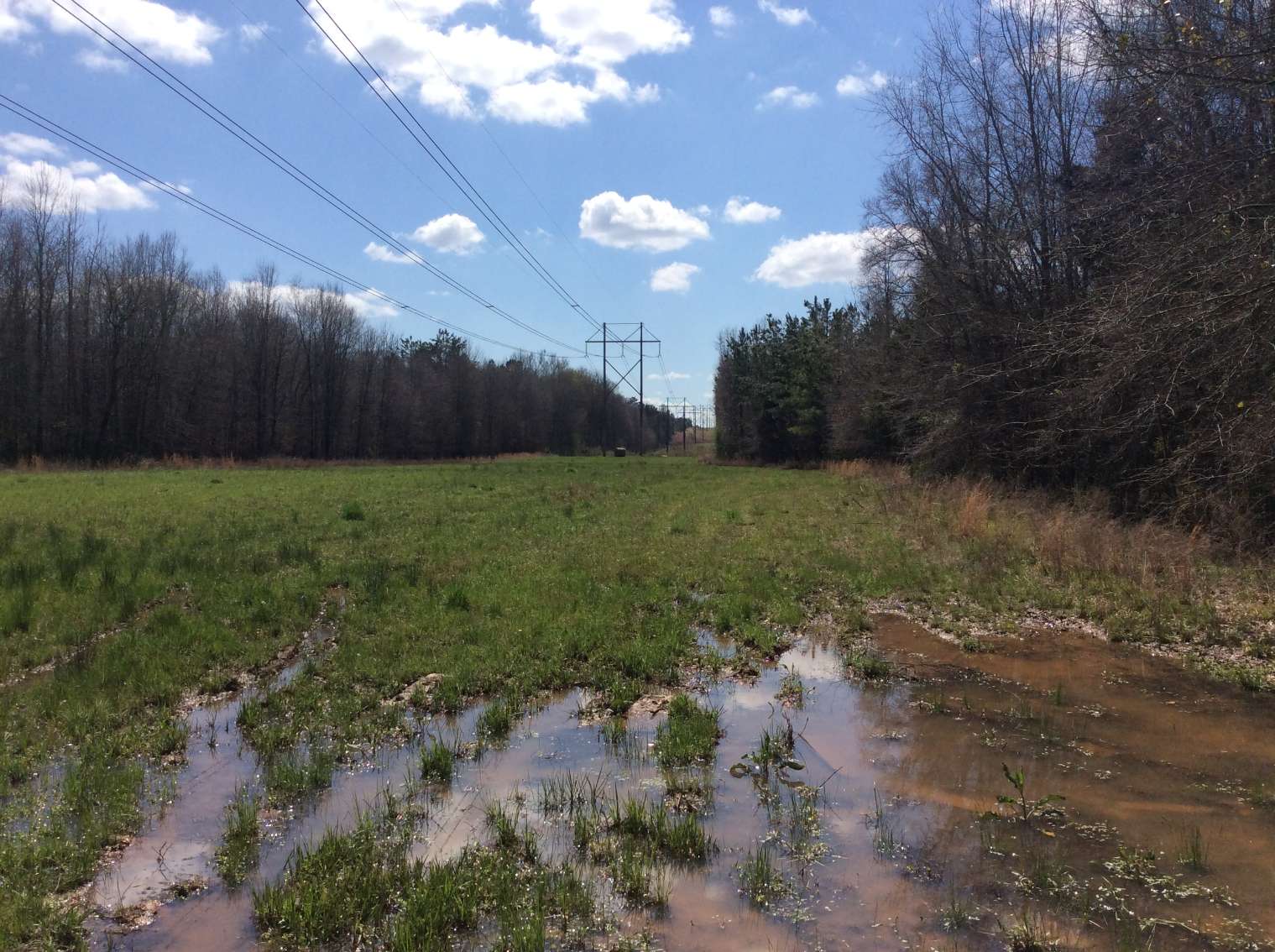 Advance Land and Timber Land for sale property_imgs/img_664.jpg