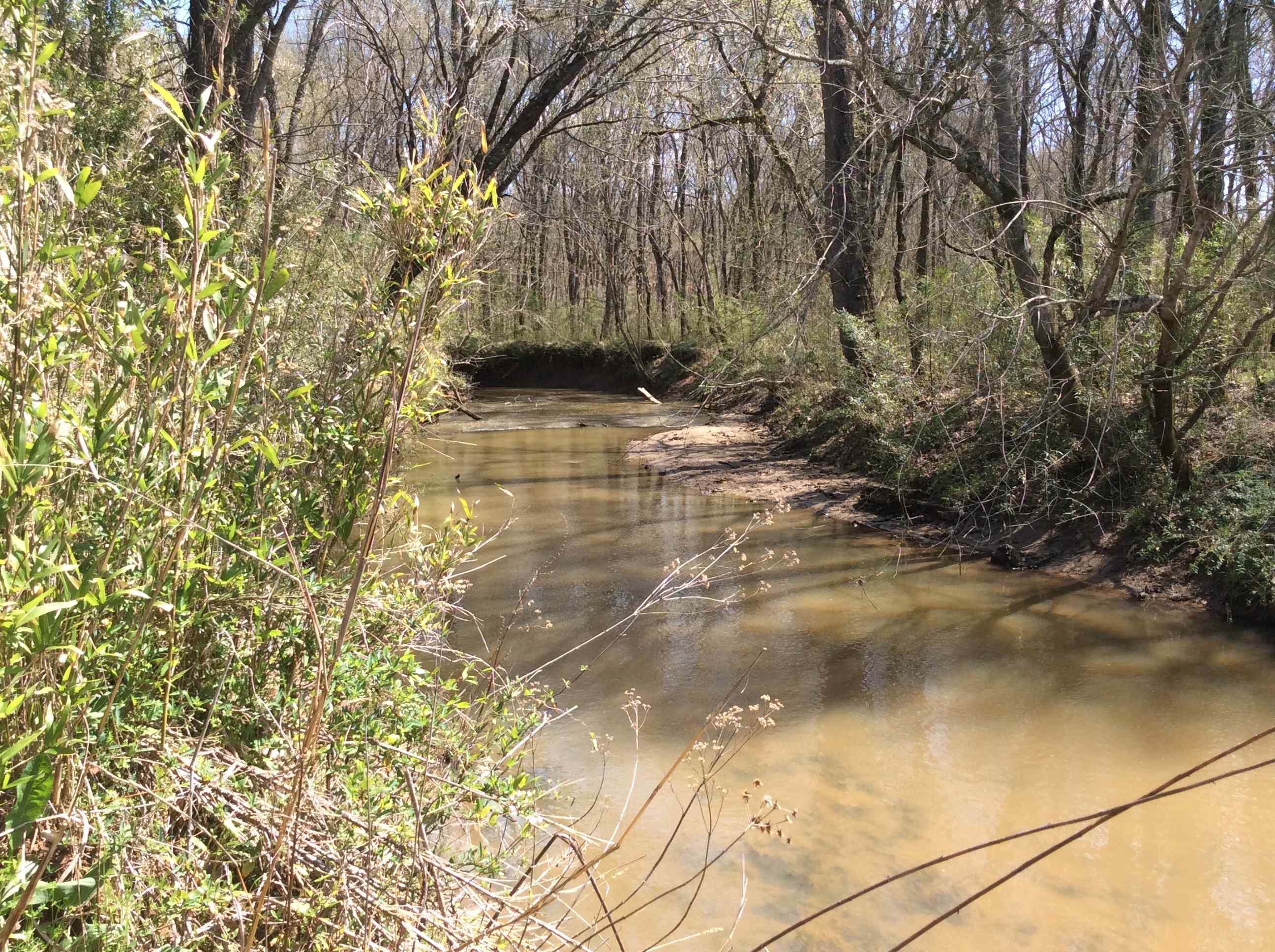 Advance Land and Timber Land for sale property_imgs/img_667.jpg