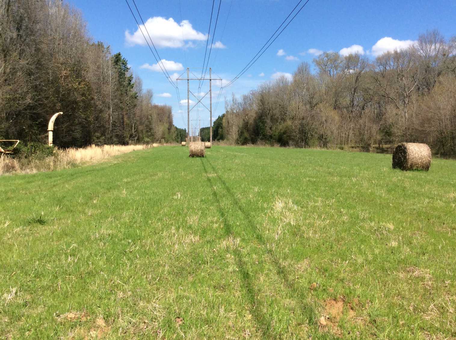Advance Land and Timber Land for sale property_imgs/img_669.jpg