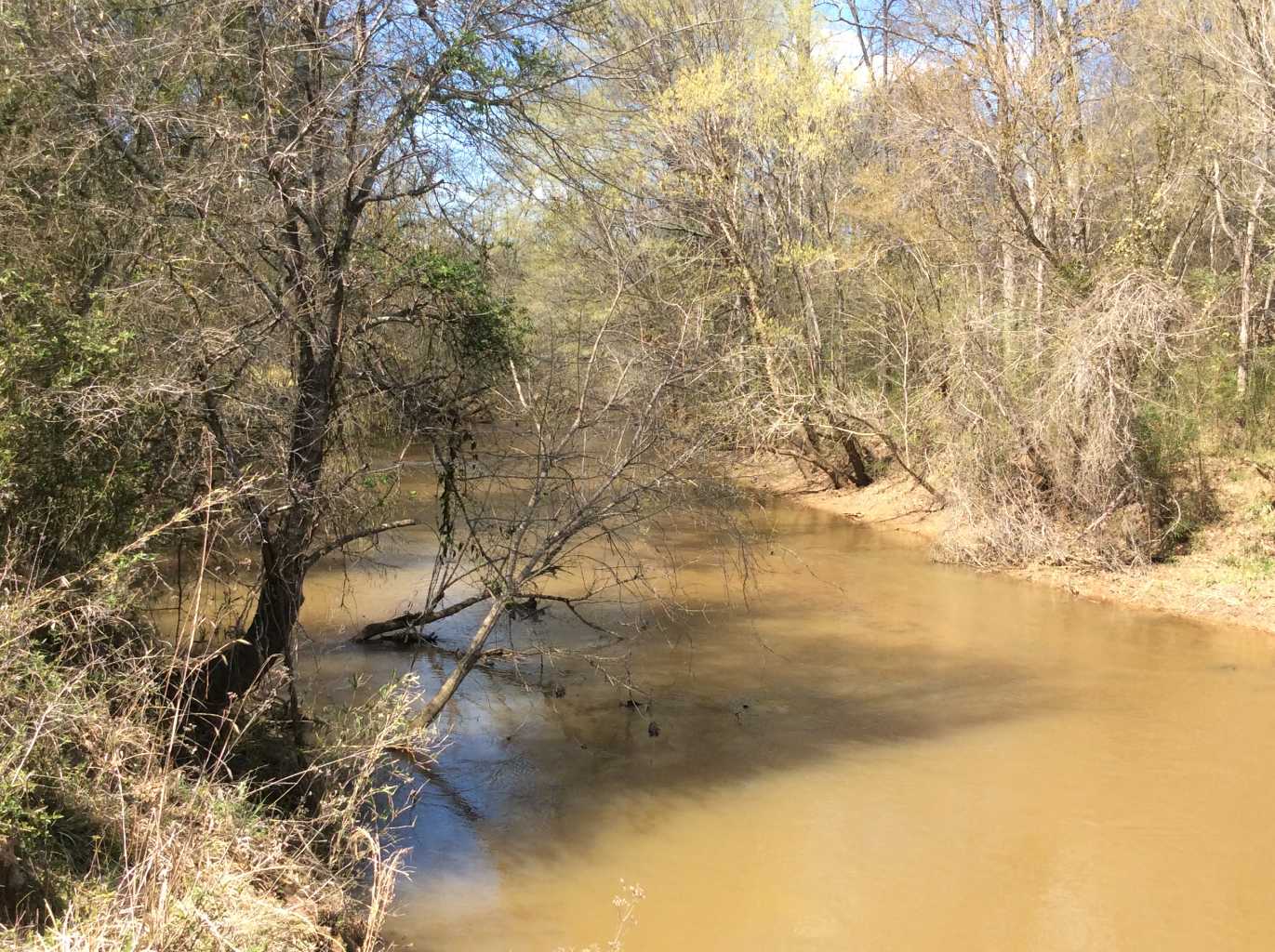 Advance Land and Timber Land for sale property_imgs/img_673.jpg