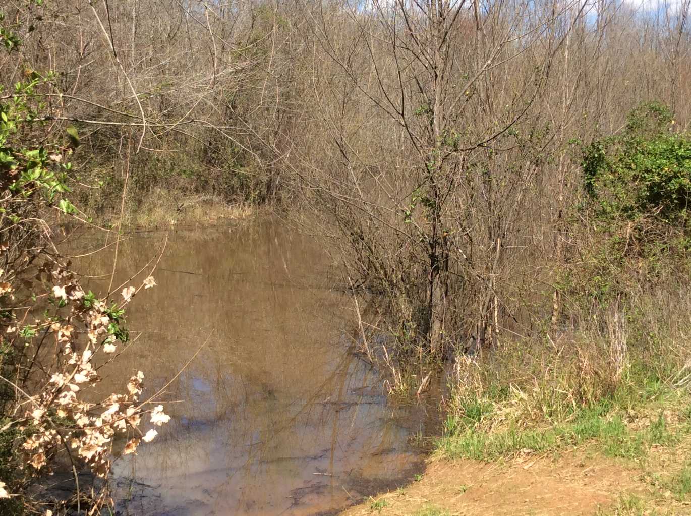 Advance Land and Timber Land for sale property_imgs/img_685.jpg