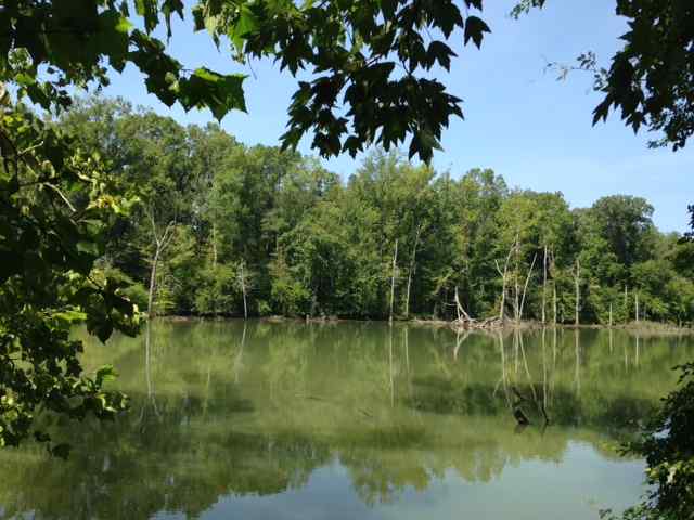 Newberry County South Carolina Land for Sale