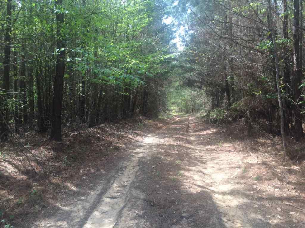Advance Land and Timber Land for sale property_imgs/img_931~0.jpg